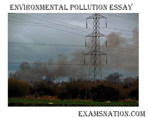 environmental pollution essay