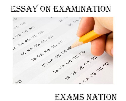 essay on examination for class 10