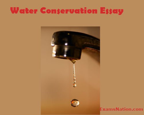 water conservation essay