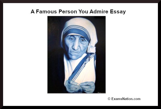 essay famous person you admire