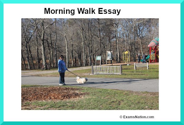 morning walk essay